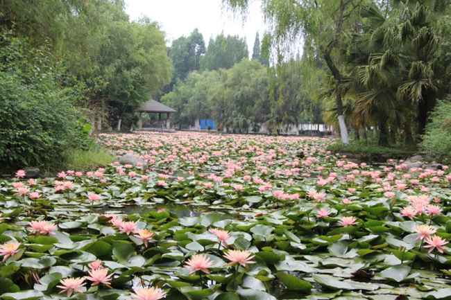 2026四川各大學暑假放假時間安排 幾月幾號開學