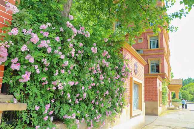 五年制大專有哪些是初中畢業能上的_五年制大專有錄取通知書嗎