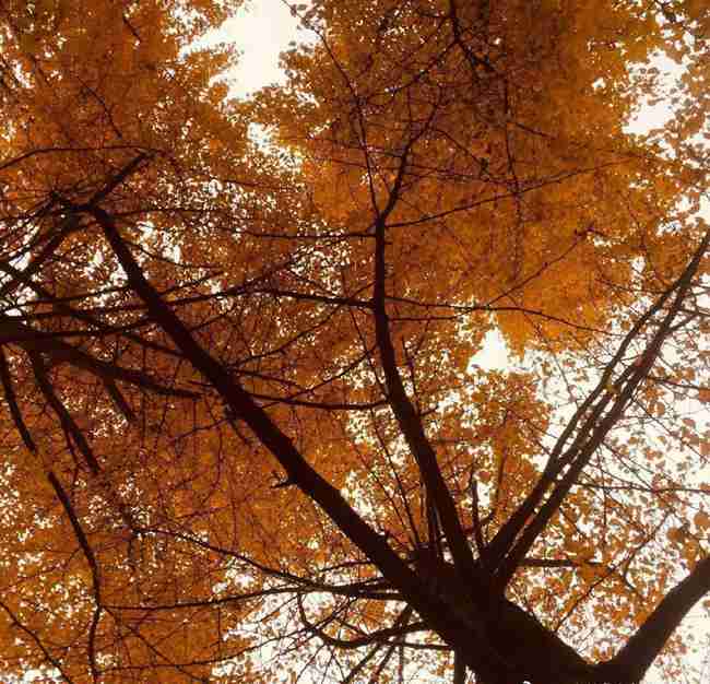 五年制大專是3+2嗎_五年制大專是中專嗎