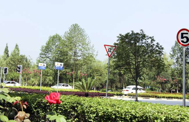 2026年成都鐵路局高校畢業生招聘公告