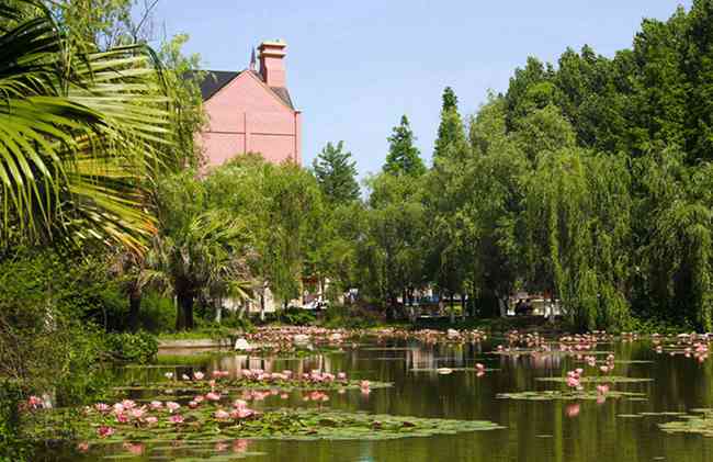 五月花普高班|四川五月花技師學(xué)院2026普高升學(xué)班招生簡(jiǎn)章|報(bào)考指南