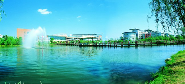 2026河南師大附中金龍學校錄取分數線