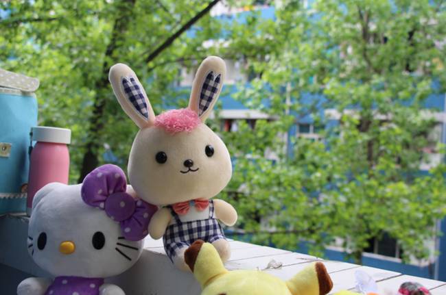 2026年四川五月花技師學院就業保障是什么,就業率